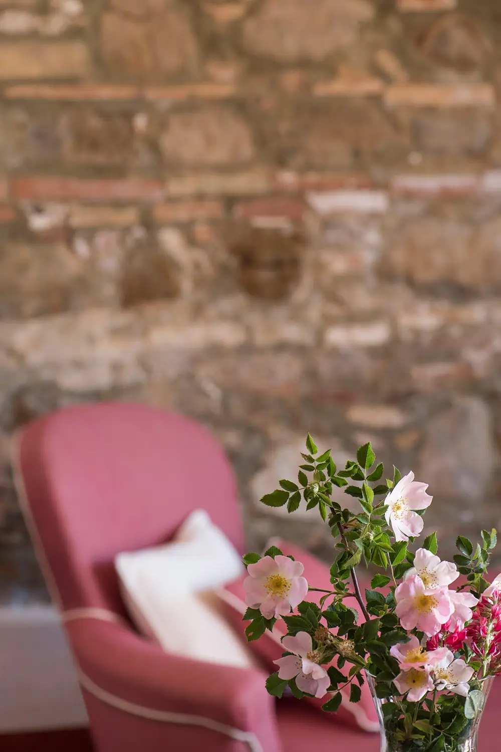 Bio Agriturismo Il Cerreto