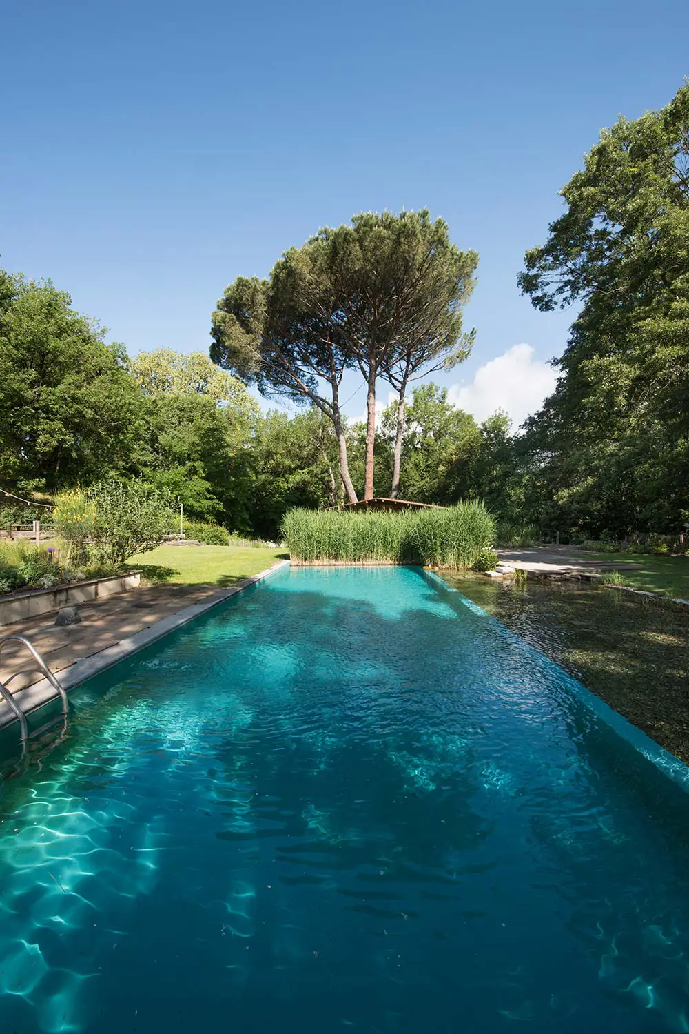 Bio Agriturismo Il Cerreto