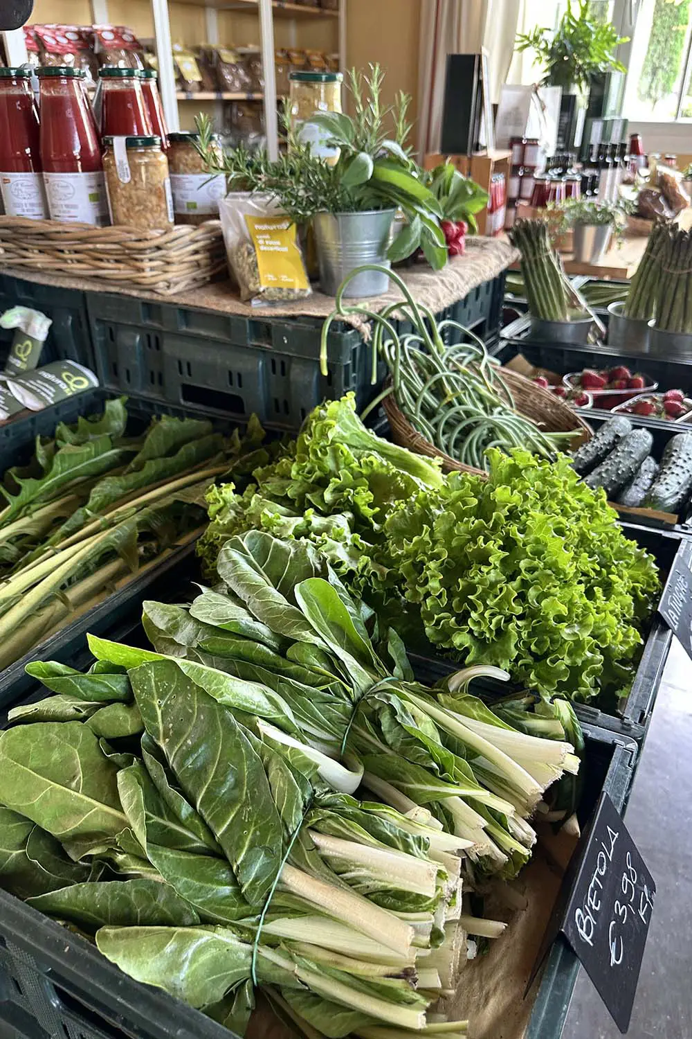 Bio Agriturismo Il Cerreto