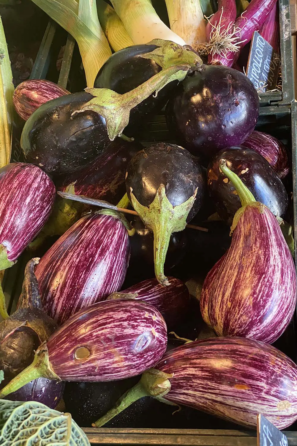 Bio Agriturismo Il Cerreto