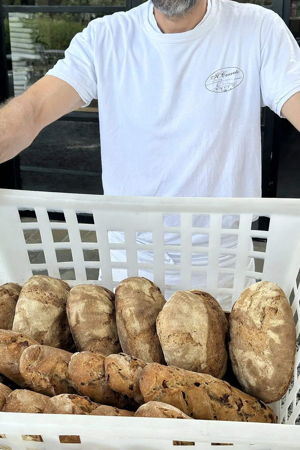 Bio Agriturismo Il Cerreto