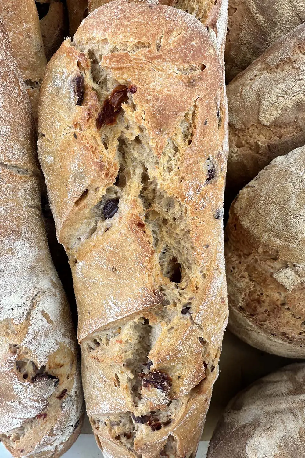 Bio Agriturismo Il Cerreto