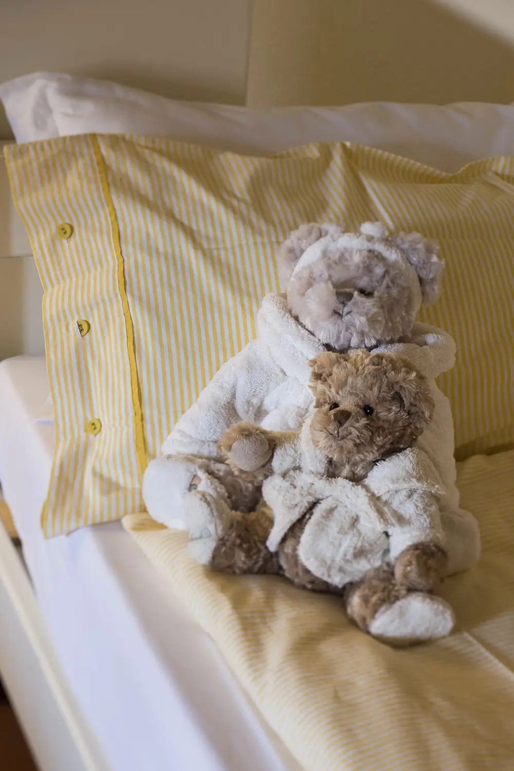 Bio Agriturismo Il Cerreto