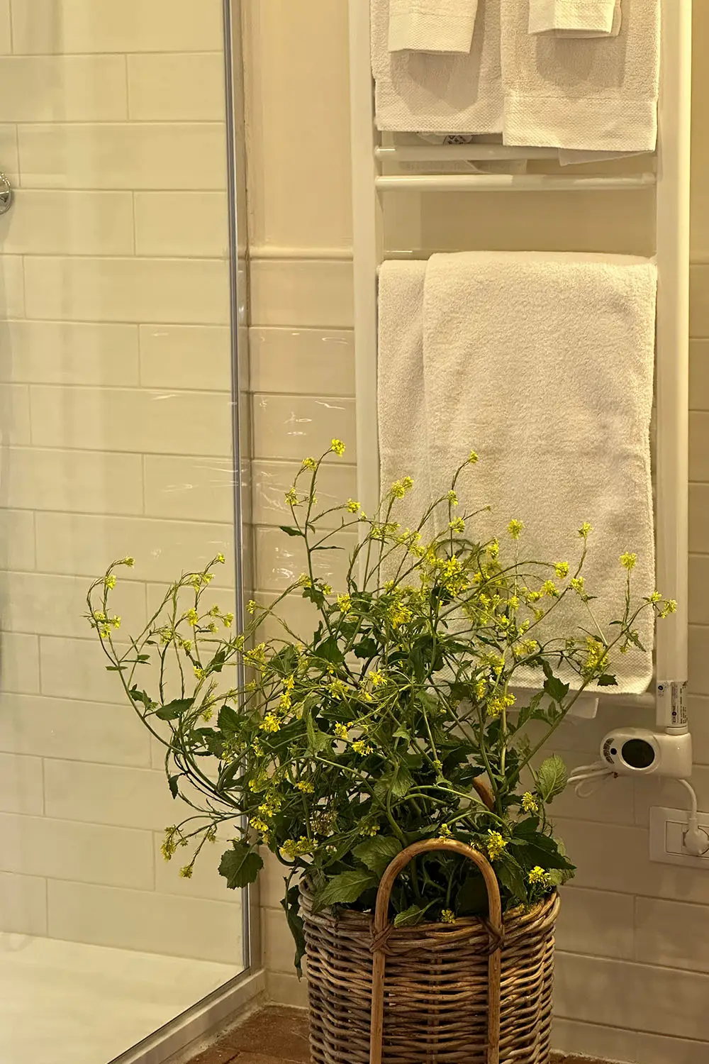 Bio Agriturismo Il Cerreto