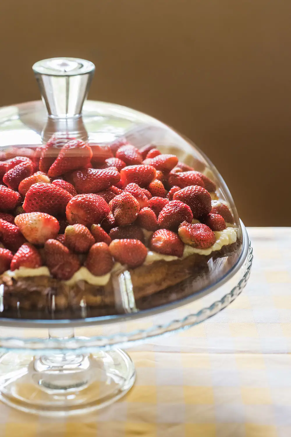 Bio Agriturismo Il Cerreto