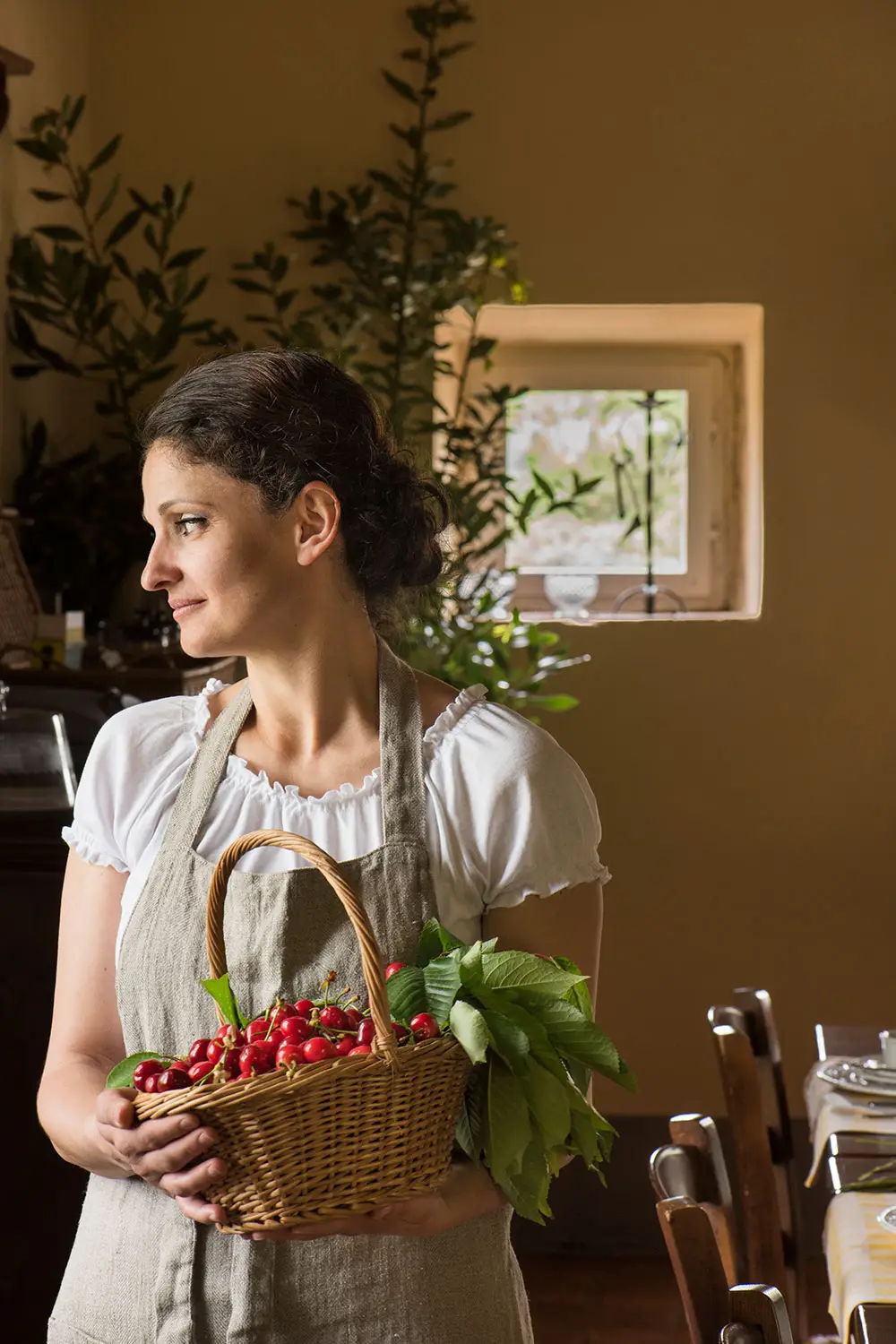 Bio Agriturismo Il Cerreto