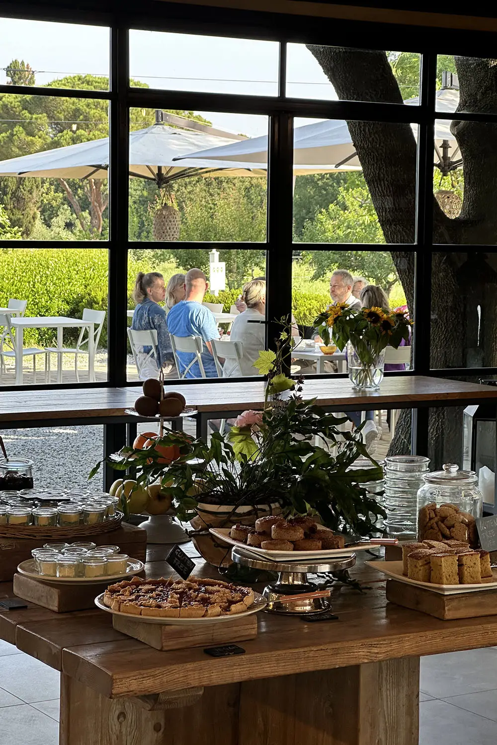 Bio Agriturismo Il Cerreto