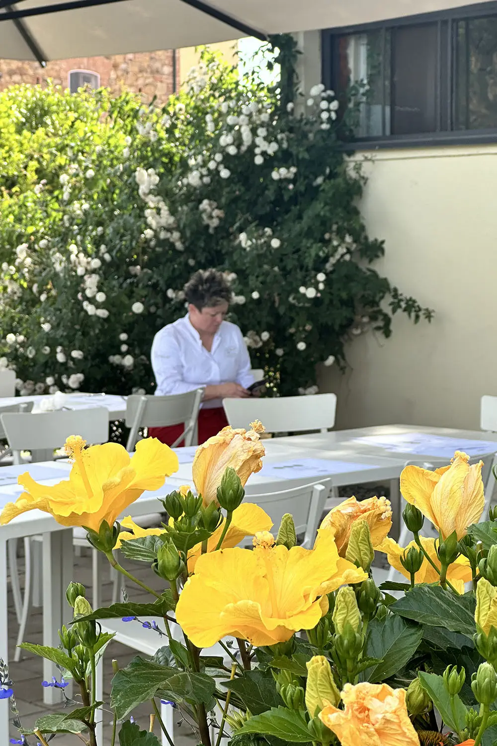 Bio Agriturismo Il Cerreto