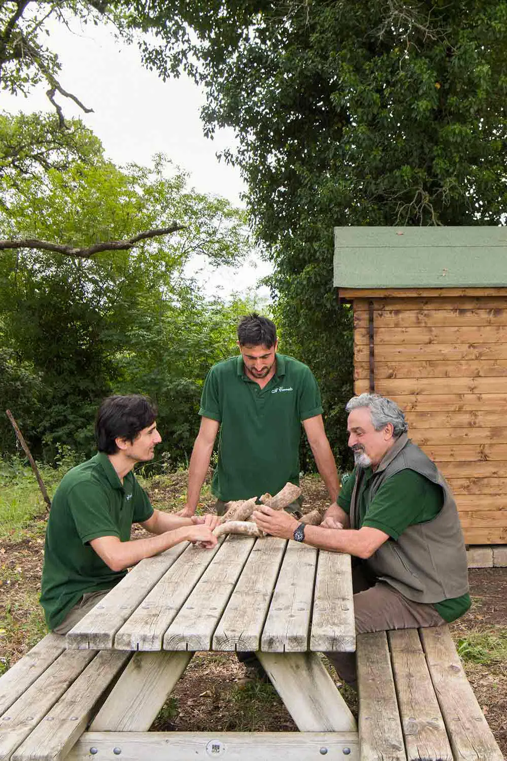 Bio Agriturismo Il Cerreto