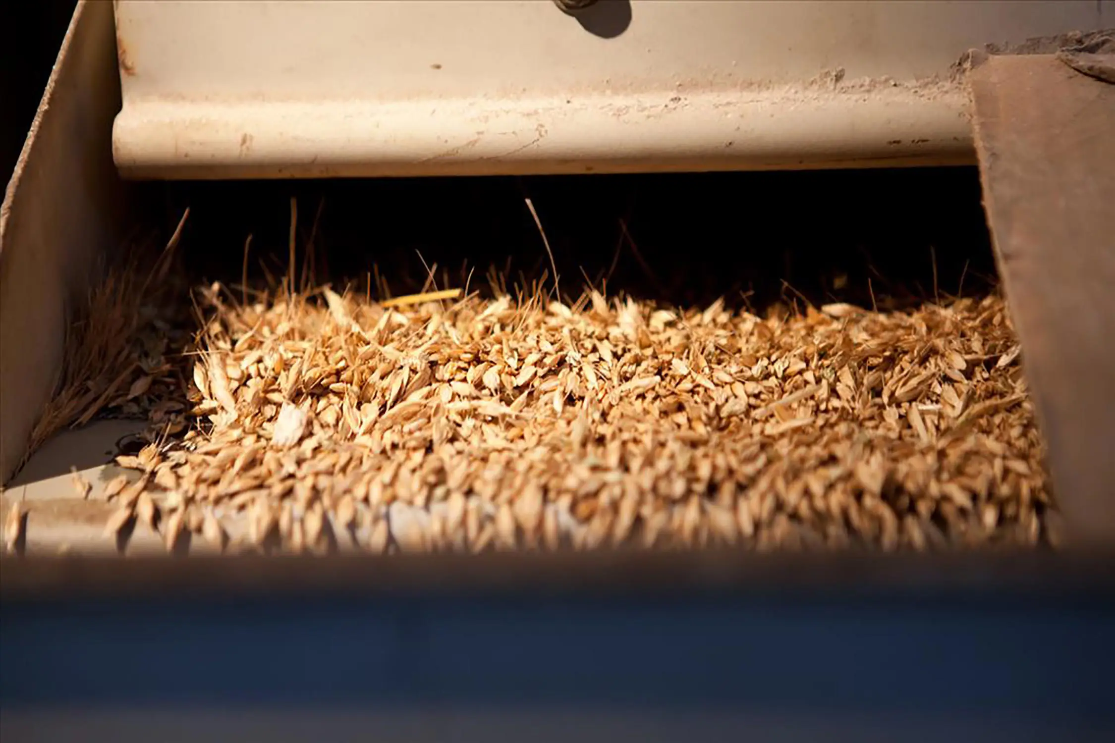 Bio Agriturismo Il Cerreto