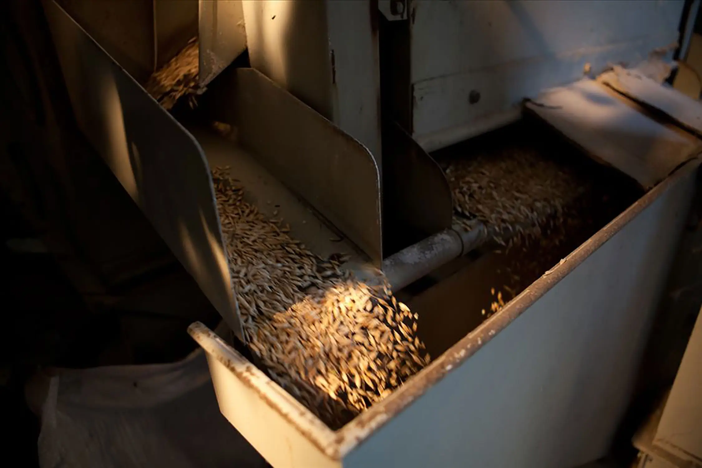 Bio Agriturismo Il Cerreto