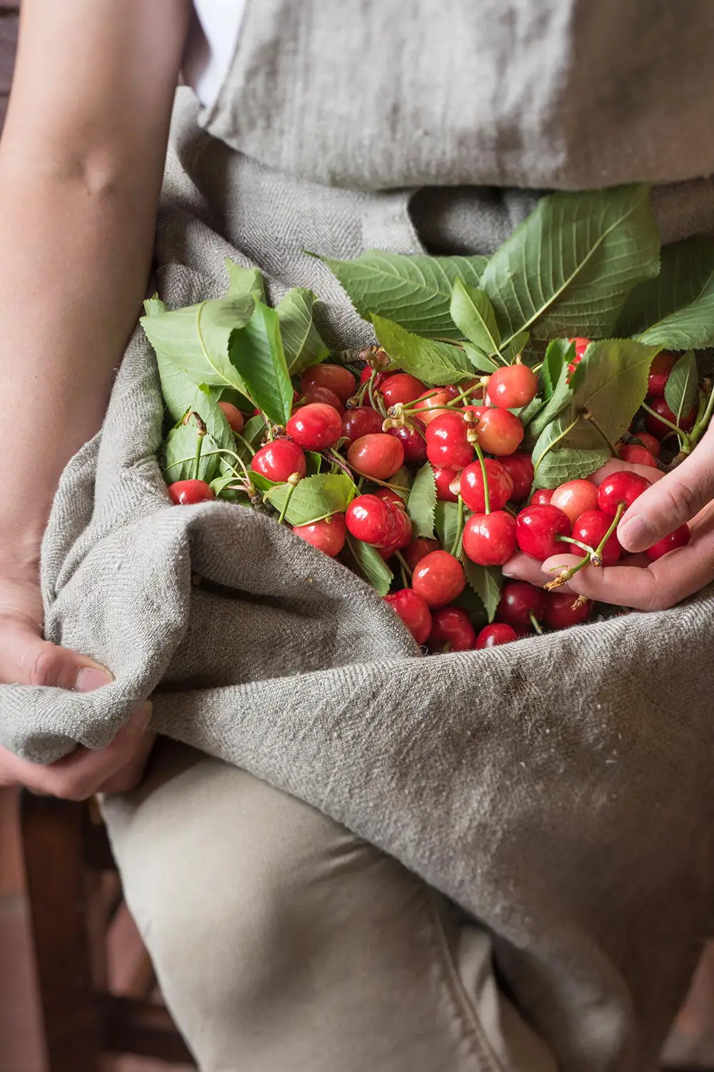 Bio Agriturismo Il Cerreto