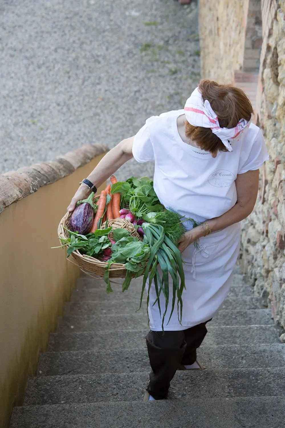 Bio Agriturismo Il Cerreto