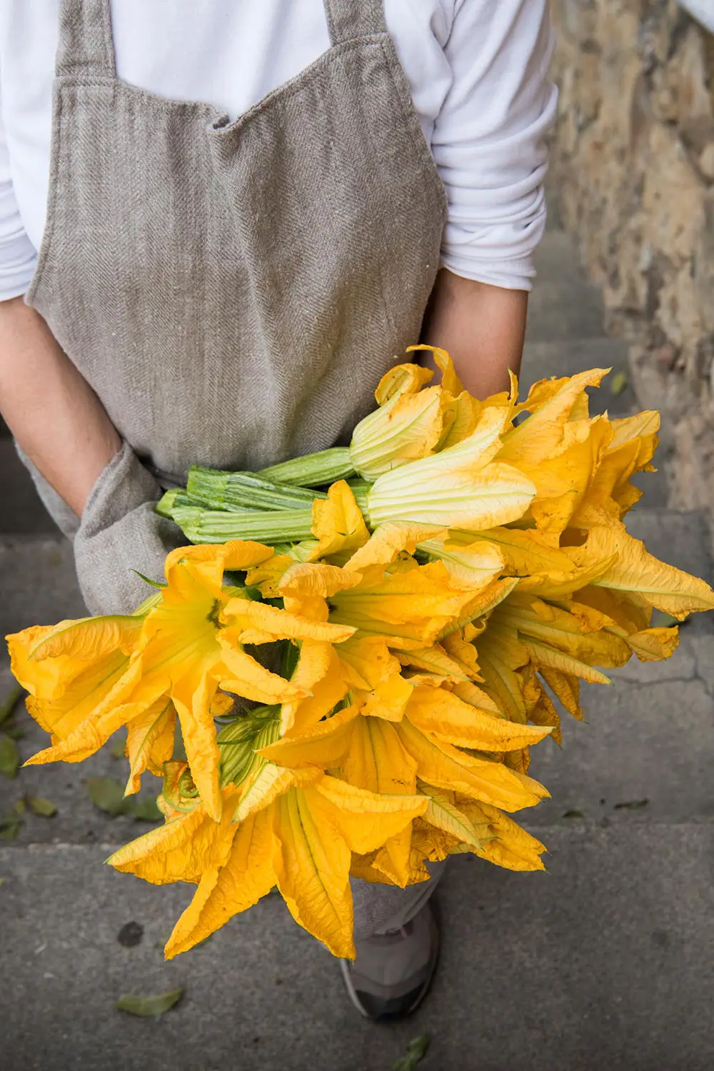 Bio Agriturismo Il Cerreto
