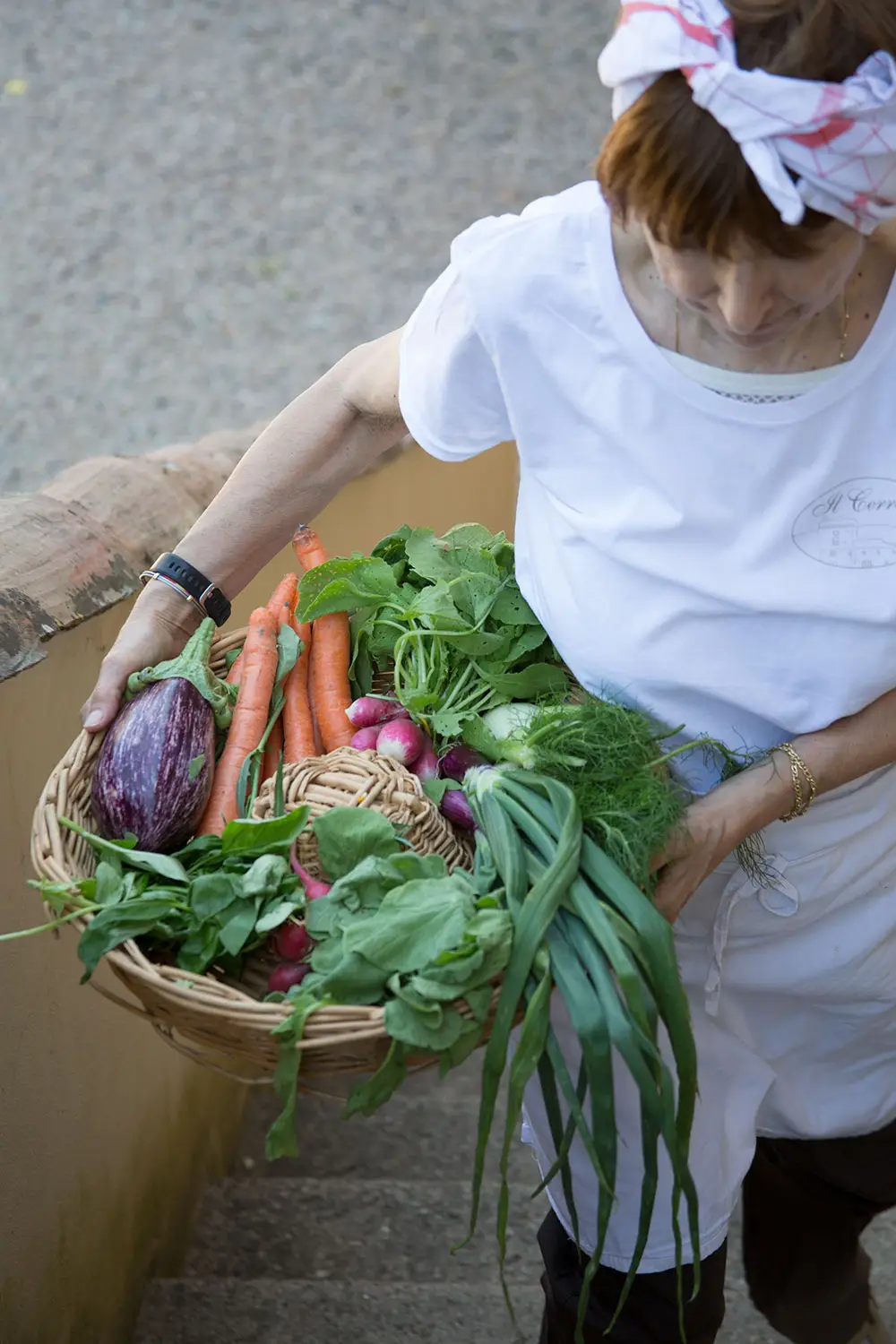 Bio Agriturismo Il Cerreto