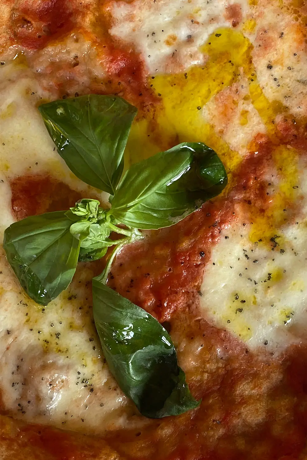 Bio Agriturismo Il Cerreto