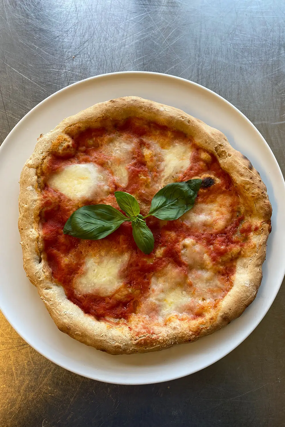 Bio Agriturismo Il Cerreto