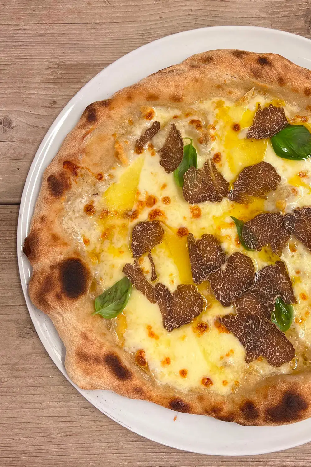 Bio Agriturismo Il Cerreto