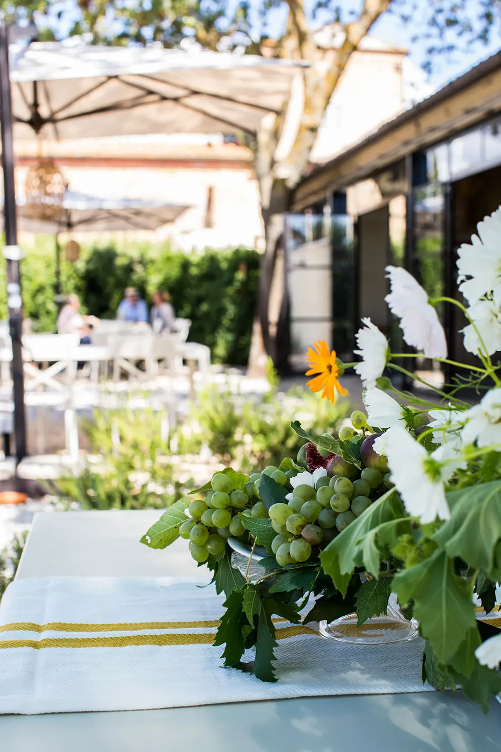 Bio Agriturismo Il Cerreto