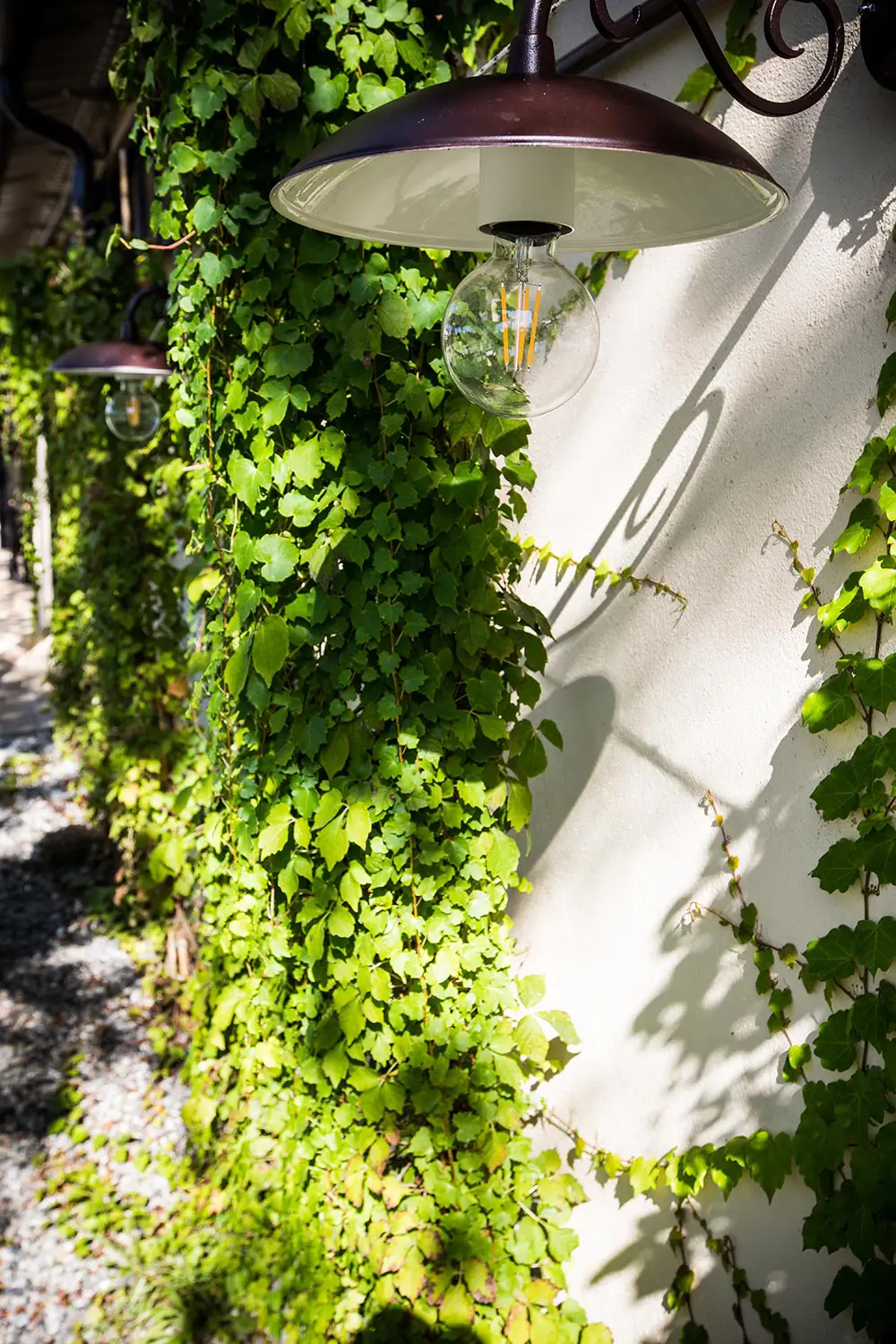 Bio Agriturismo Il Cerreto