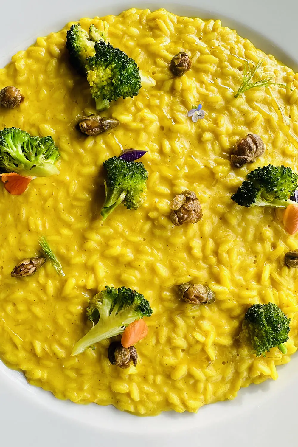 Bio Agriturismo Il Cerreto