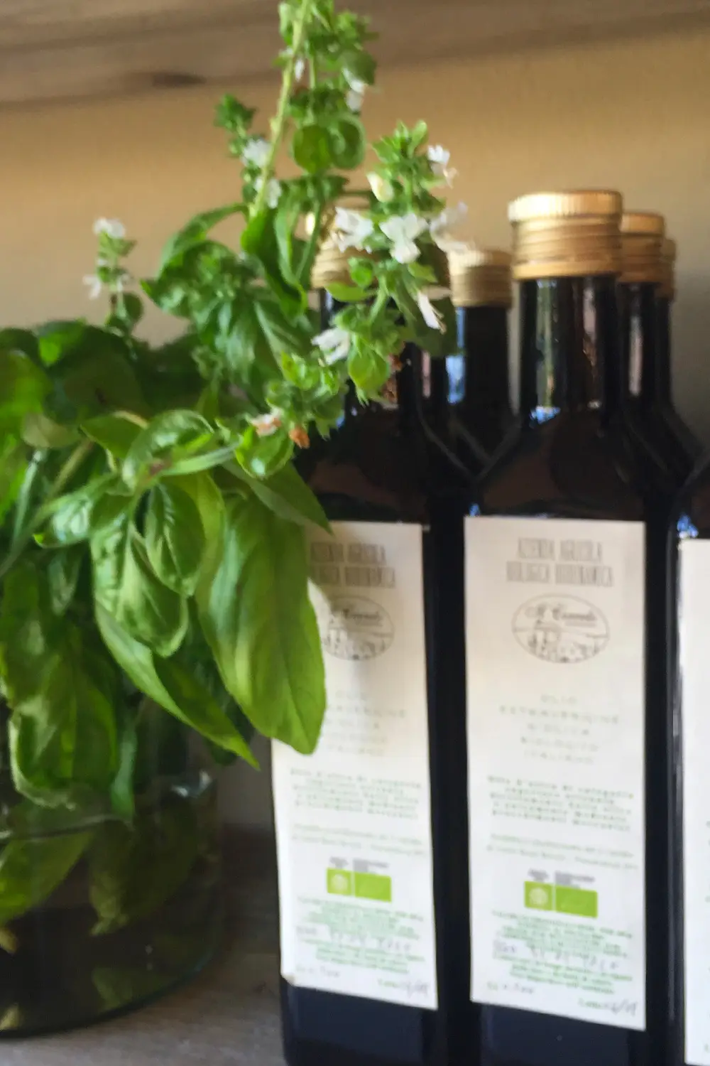 Bio Agriturismo Il Cerreto