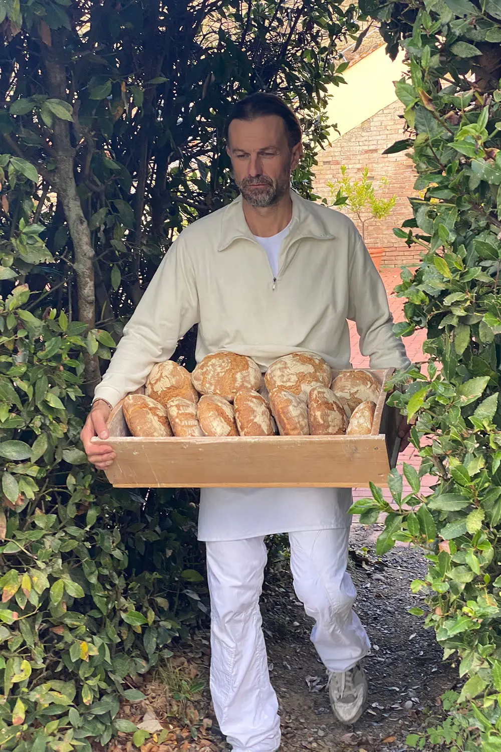 Bio Agriturismo Il Cerreto