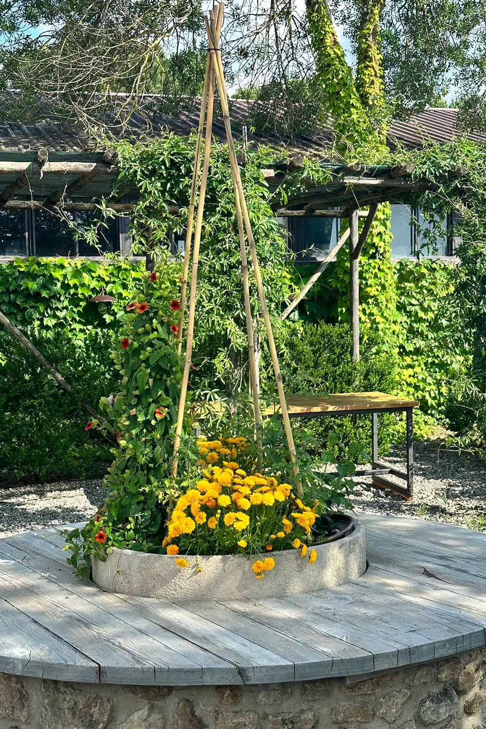 Bio Agriturismo Il Cerreto